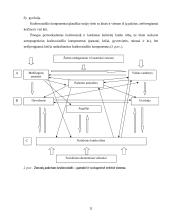 Kraštovaizdžio monitoringas 11 puslapis