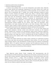 ES euro kurso politika 2 puslapis