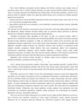 ES euro kurso politika 3 puslapis