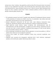 ES euro kurso politika 4 puslapis