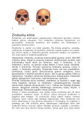 Kraujas ir evoliucija 11 puslapis