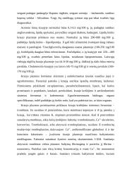 Kraujas ir evoliucija 4 puslapis