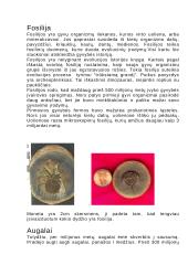 Kraujas ir evoliucija 9 puslapis