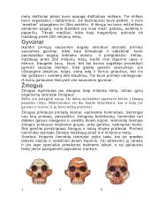 Kraujas ir evoliucija 10 puslapis