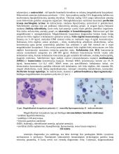 Kraujo klinikinio laboratorinio tyrimo reikšmė diagnozuojant įvairios kilmės anemijas 14 puslapis