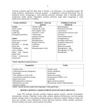 Kraujo klinikinio laboratorinio tyrimo reikšmė diagnozuojant įvairios kilmės anemijas 4 puslapis