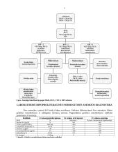 Kraujo klinikinio laboratorinio tyrimo reikšmė diagnozuojant įvairios kilmės anemijas 8 puslapis