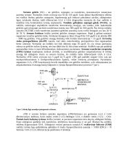 Kraujo klinikinio laboratorinio tyrimo reikšmė diagnozuojant įvairios kilmės anemijas 9 puslapis