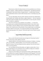 Krikščioniškoji tradicija: tikėjimas ir protas 7 puslapis