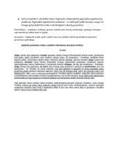 J. Biliūno apysakos „Liūdna pasaka” fragmento analizė 2 puslapis