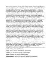 Ironijos reikšmė lietuvių literatūroje 2 puslapis