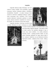 Kryžiai ir koplytstulpiai 12 puslapis