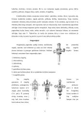 Kryžiai ir koplytstulpiai 7 puslapis