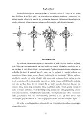 Kryžiai ir koplytstulpiai 10 puslapis