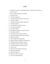 Krokodilų charakteristika 2 puslapis