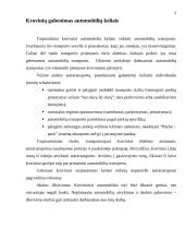 Krovinių gabenimas 4 puslapis