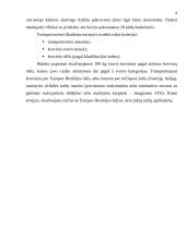 Krovinių gabenimas 6 puslapis