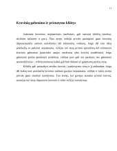 Krovinių gabenimas 9 puslapis