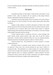 Krovinių terminalai 11 puslapis