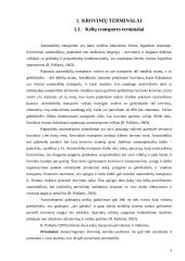 Krovinių terminalai 3 puslapis