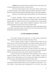 Krovinių terminalai 6 puslapis