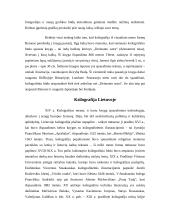 Ksilografija Lietuvoje ir Rytuose 6 puslapis