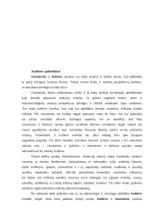 Kultūros apibrėžimas