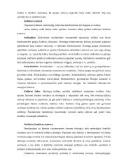 Kultūros apibrėžimas 11 puslapis