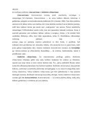 Kultūros apibrėžimas 12 puslapis