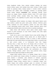 Kultūros apibrėžimas 4 puslapis