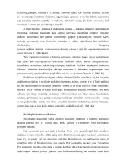 Kultūros apibrėžimas 6 puslapis