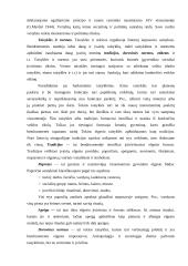 Kultūros apibrėžimas 8 puslapis