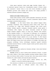 Kultūros apibrėžimas 9 puslapis