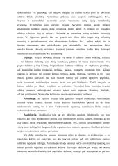 Kultūros apibrėžimas 10 puslapis