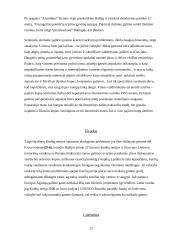 Kuršių Nerijos ekologinės problemos 10 puslapis