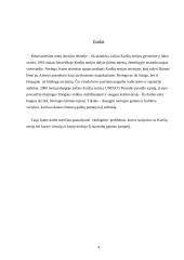 Kuršių Nerijos ekologinės problemos 2 puslapis