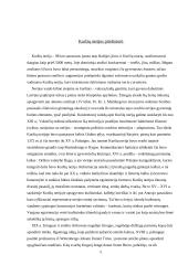 Kuršių Nerijos ekologinės problemos 3 puslapis