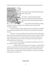 Kuršių Nerijos ekologinės problemos 7 puslapis