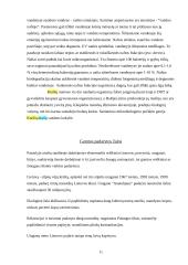 Kuršių Nerijos ekologinės problemos 9 puslapis