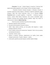 Kvėpavimo takai 2 puslapis