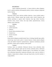 Kvėpavimo takai 11 puslapis