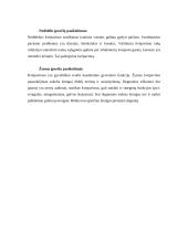 Kvėpavimo takai 7 puslapis