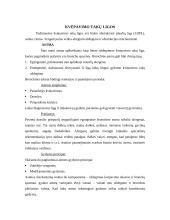 Kvėpavimo takai 8 puslapis