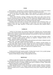 Kvėpavimo sistema. Plaučių ligos 2 puslapis