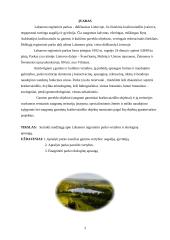 Labanoro regioninis parkas 2 puslapis