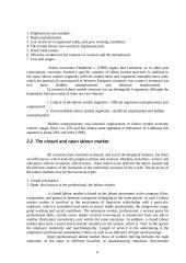 Labour market in Lithuania: problems and outlook 6 puslapis