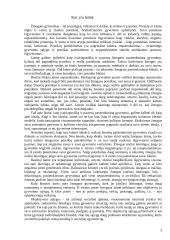 Laimė ir vertybės   3 puslapis