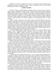 Laimė ir vertybės   5 puslapis