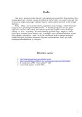 Laimė ir vertybės   7 puslapis