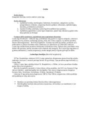 Laimo ligos borelijos 3 puslapis